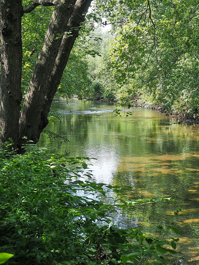 Bronx River, inside Shoelace Park, Bronx, NY.