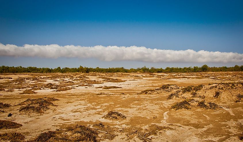 Morning Glory cloud formation. Rare meteorological phenomenon seen in Burketown, Australia