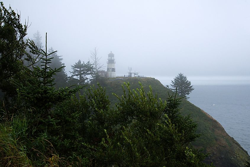 Profile view of Cape Disappointment lighthouse perched on top of a sheer cliff and surrounded by a dense pine woodland on a foggy day