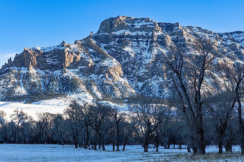 Snow-covered winter landscape in Wyoming's Shoshone National Forest.