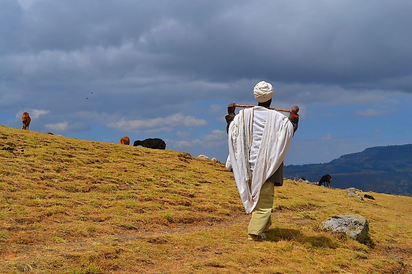 Ethiopian Highlands