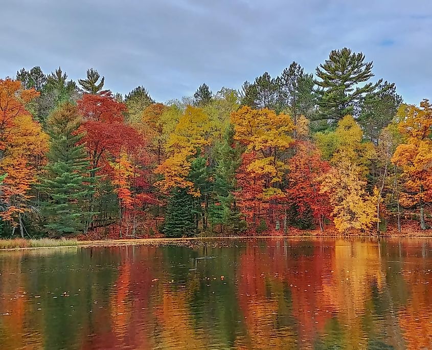 Fall colors in Eagle River, Wisconsin.