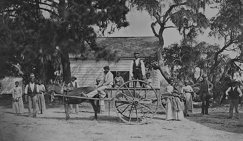 James Hopkinsons Plantation Slaves Going to Field