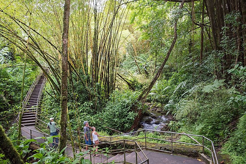 Akaka Falls State Park