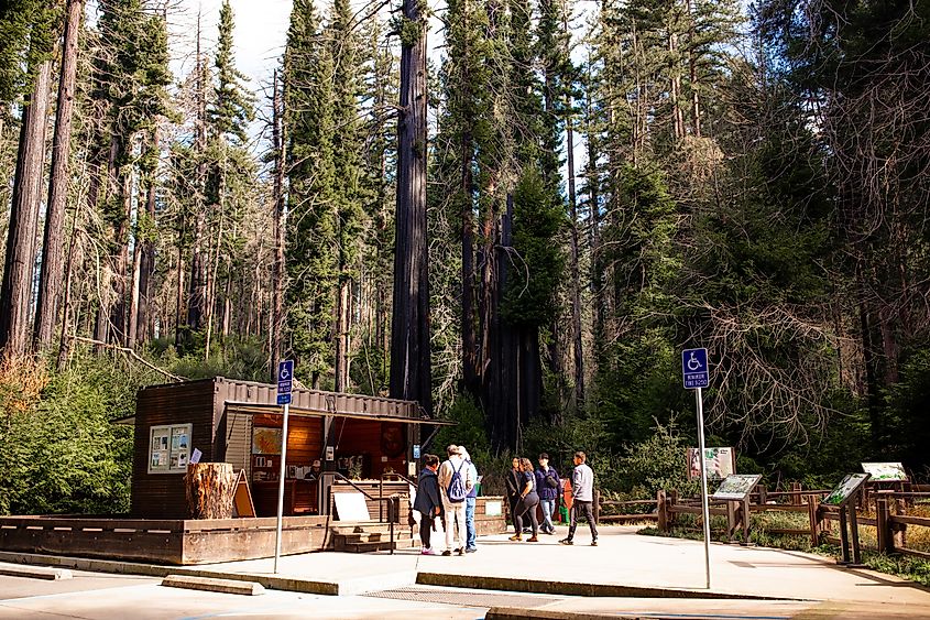 The information center at the Big Basin Redwoods State Park, California.