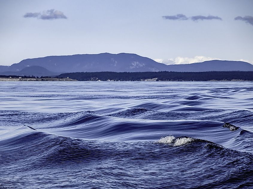 The Salish Sea, which encompasses Puget Sound, the Strait of Juan de Fuca, and the Strait of Georgia
