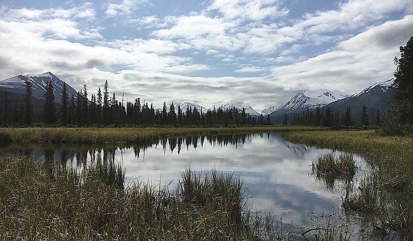 Kenai National Wildlife Refuge