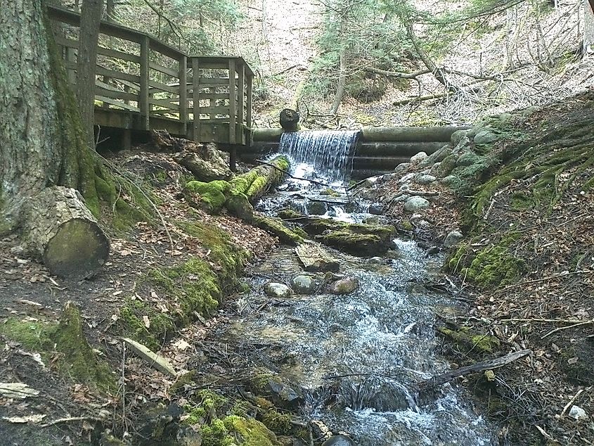 Iargo Springs, Oscoda, Michigan.