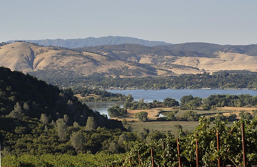 Vineyards above Clearlake in Lake County, California