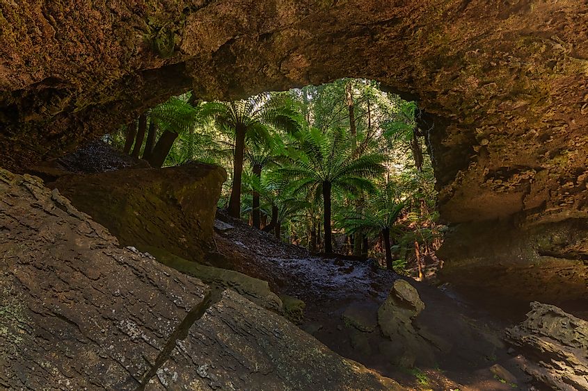 Tasmania Caves