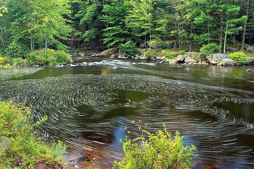 Austin T. Blakeslee Nature Area in Blakeslee, Pennsylvania.