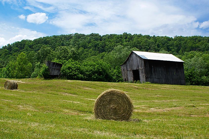 Kentucky Farm, Lee County, Kentucky