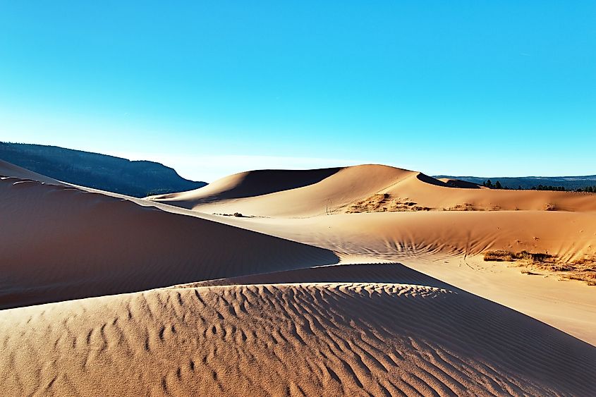 Coral Pink Sand Dunes, Kanab, Utah.