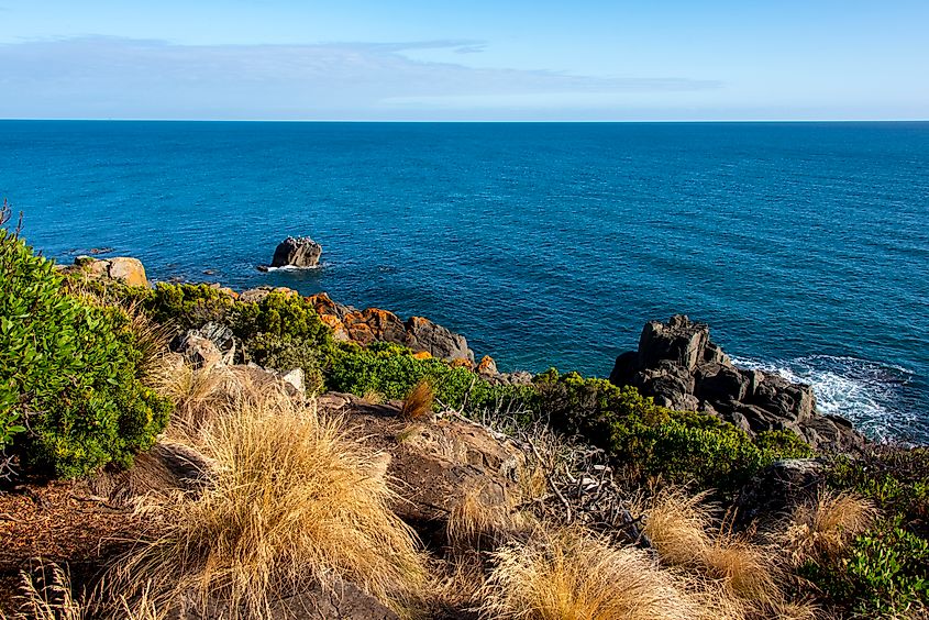 Mersey Bluff State Reserve in Devonport, Tasmania. Via Shutterstock / adwo