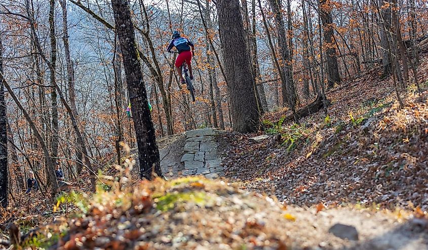 Mountain bike jumping in woods, Eureka Springs, Arkansas.