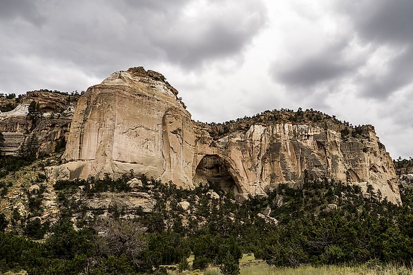 Volcanic terrain and sandstone bluffs at El Malpais National Monument, New Mexico.