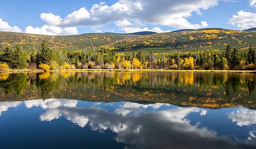 Autumn colors at Moose Lake near Vernal Utah and Flaming Gorge Reservoir.