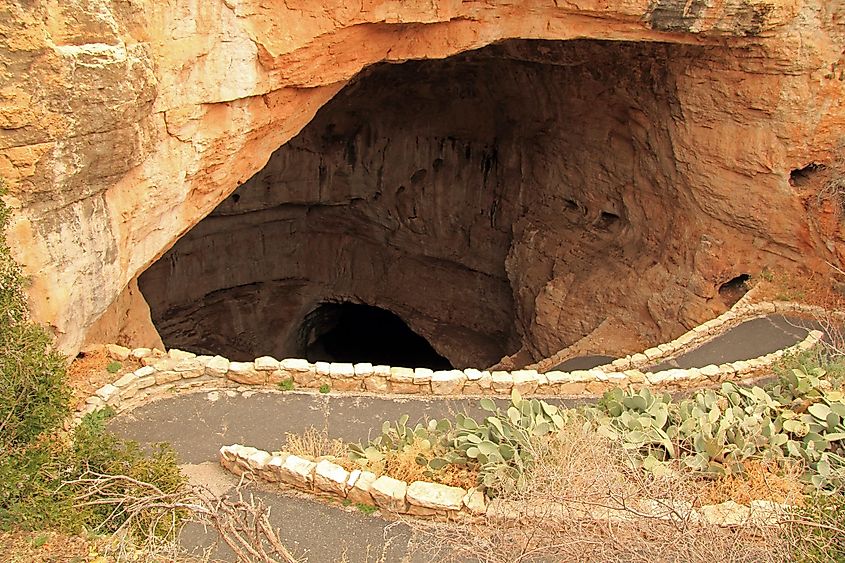Cave formations inside Carlsbad Caverns