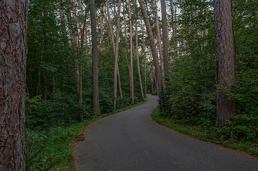 Itasca State Park, Wilderness Drive.