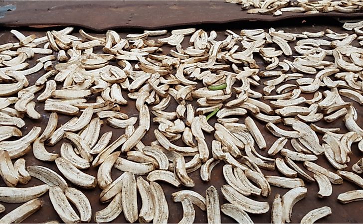 Drying Matooke(Bananas) in Buvuma Islands, central Uganda 