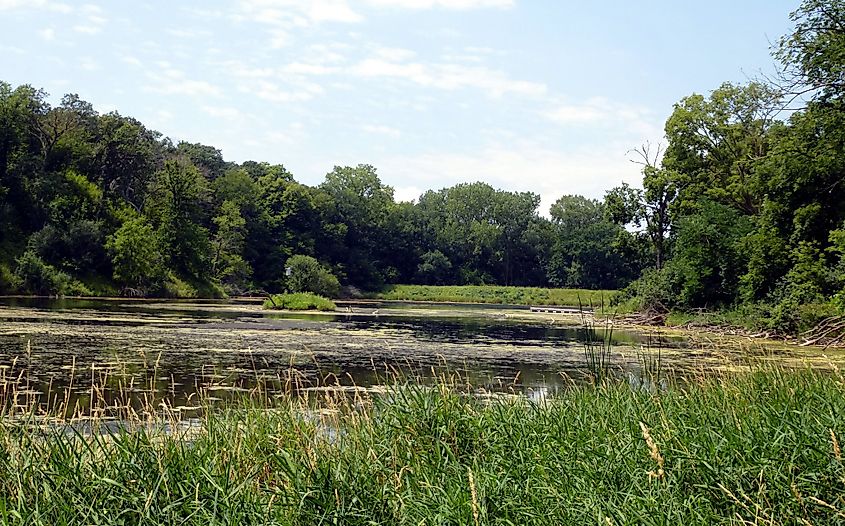 Turtle Pond, Stone State Park