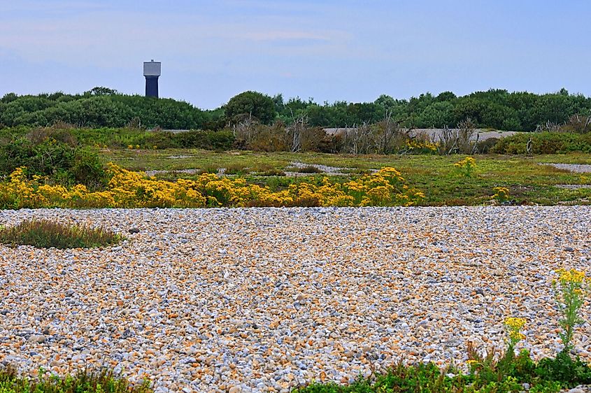 A view of the shingle fields at Dungeness with the old water tower.