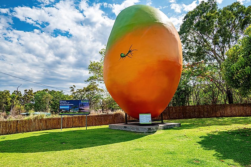 Giant mango outside the Bowen Visitor Center in Bowen, Queensland, Australia