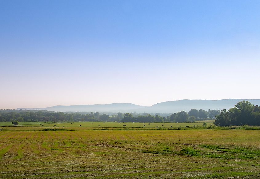 Prairie Grove, Arkansas.