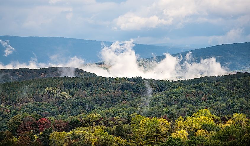 Foggy morning in early fall autumn foliage season on road to Dolly Sods, West Virginia mountains near Wardensville, West Virginia