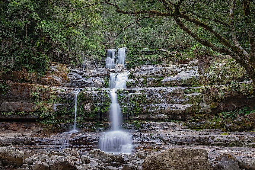 Picturesque Liffey Falls located in Liffey Falls State Reserve, Tasmania, Australia. 