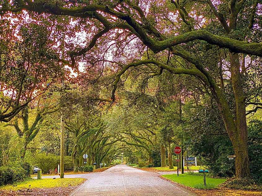 Street scene in Magnolia Springs, Alabama.