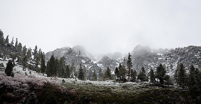 Scenic view of Emerald Bay State Park, South Lake Tahoe, United States.