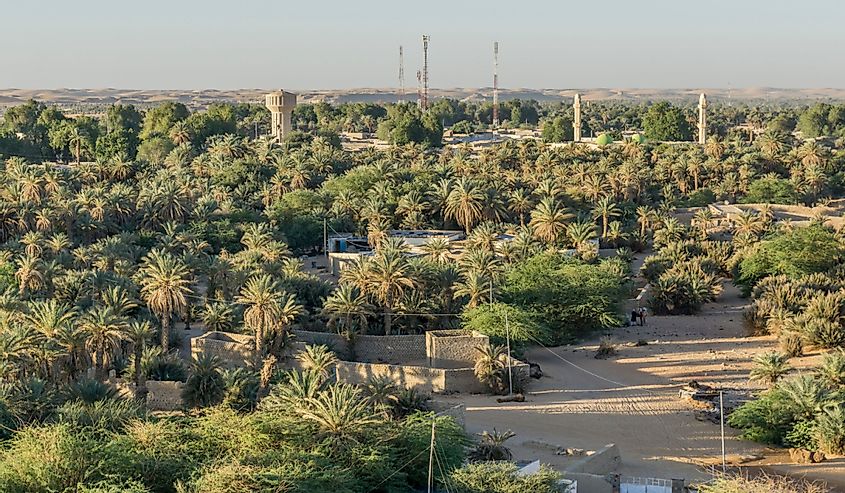 Faya largeau Oasis, Ennedi massif, sahara desert, Chad