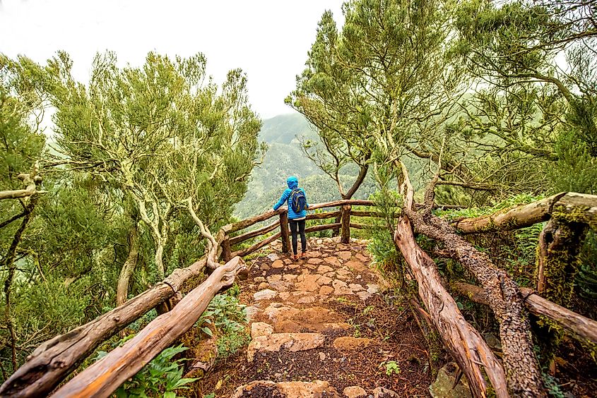 Garajonay National Park