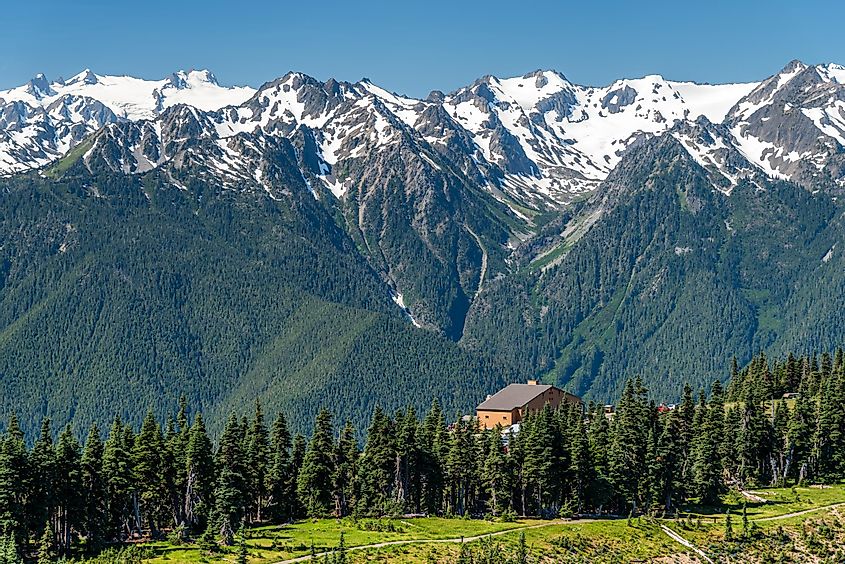 The Hurricane Ridge viewpoint of Olympic National park in Washington