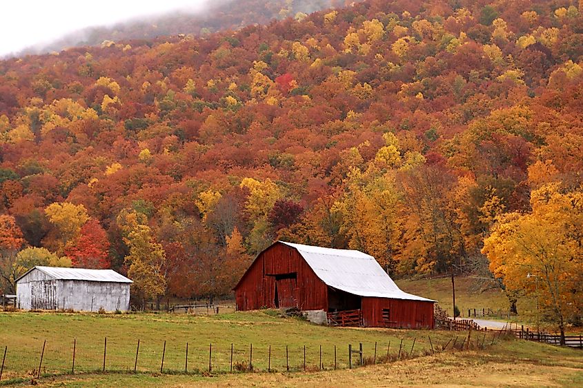 Barn near Dunlap, Tennessee.