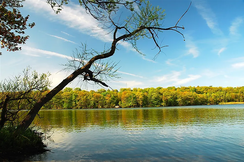 A lake reflects the summer sky at the franklin D Roosevelt State Park in Yorktown Heights, NY. Credit: James Kirkikis / Shutterstock