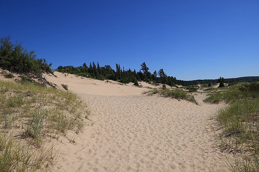 Sand dunes at Petoskey State Park in Petoskey, Michigan, near Harbor Springs.