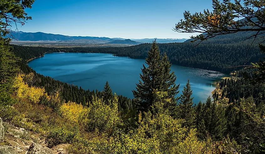 A mesmerizing view of Phelps Lake in Wyoming and the Tetons national park with green trees