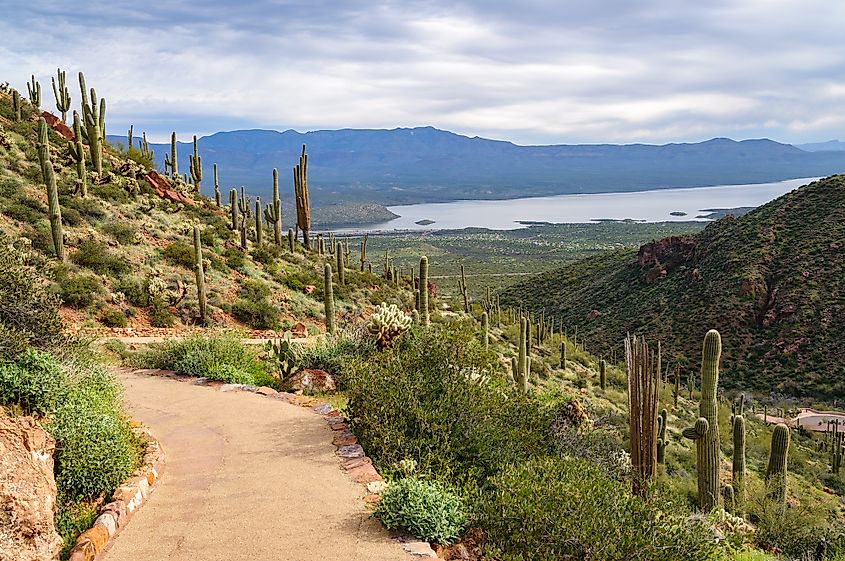  Tonto National Monument 