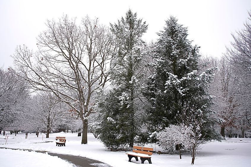 The winter landscape of Ada Park in Grand Rapids, Michigan