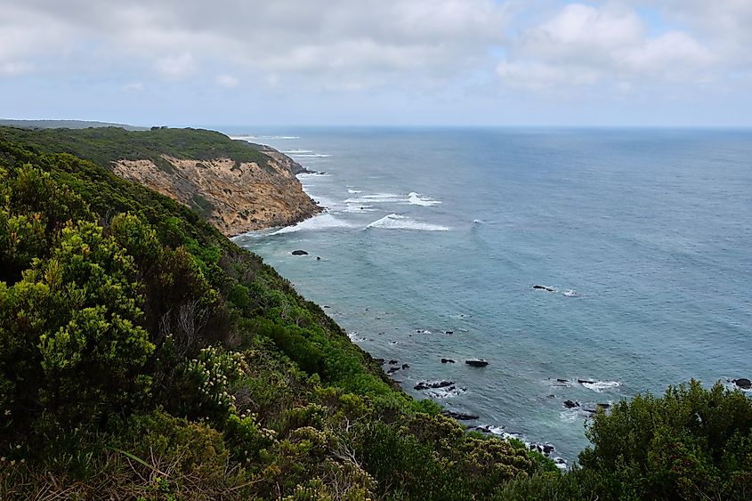 View from southern tip of the Otways on the Great Ocean Road - Cape Otway, Victoria, Australia. lkonya via Shutterstock