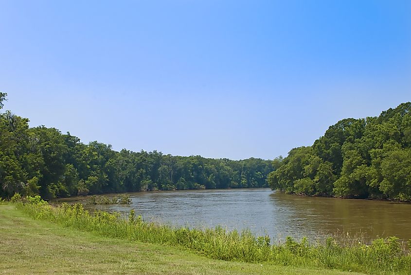 The Savannah River flowing through wilderness.