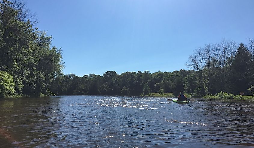 Kayaker on the Muskegon River with trees on either side.