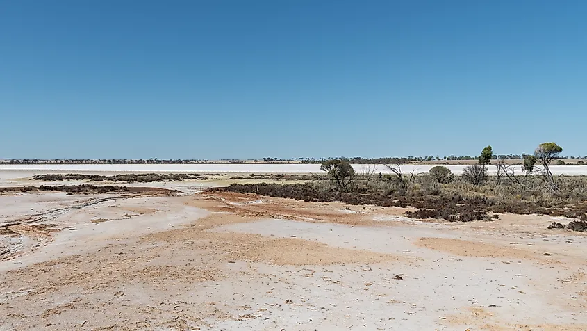 Lake Grace salt lake in Western Australia. 