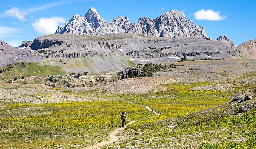 Female backpacker hiking the Teton Crest Trail in Grand Teton National Park, Wyoming.