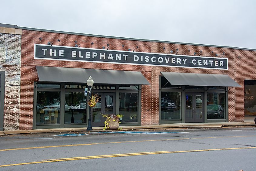 The Elephant Discovery Center in Hohenwald, Tennessee.