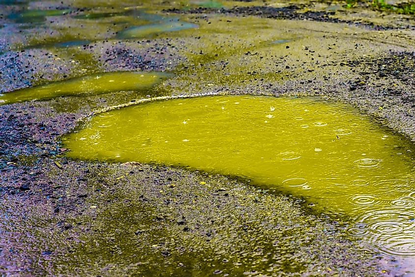Bright yellow green dirty toxic water near oil factory illustrates global ecology problem of acid rains and water pollution.