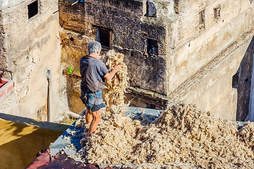 Man adjusting the wool on the roof in a tannery in Fez, Morocco