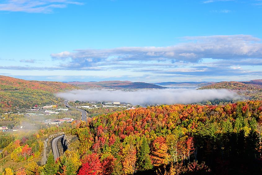 Vibrant autumn trees with red, orange, and yellow leaves surround a winding road. A thick band of fog hovers in the distance under a bright blue sky.